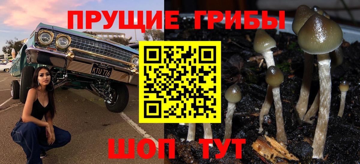 магазин продажи   Вход с VPN  Новокуйбышевск  Галлюциногенные грибы прущие грибы 