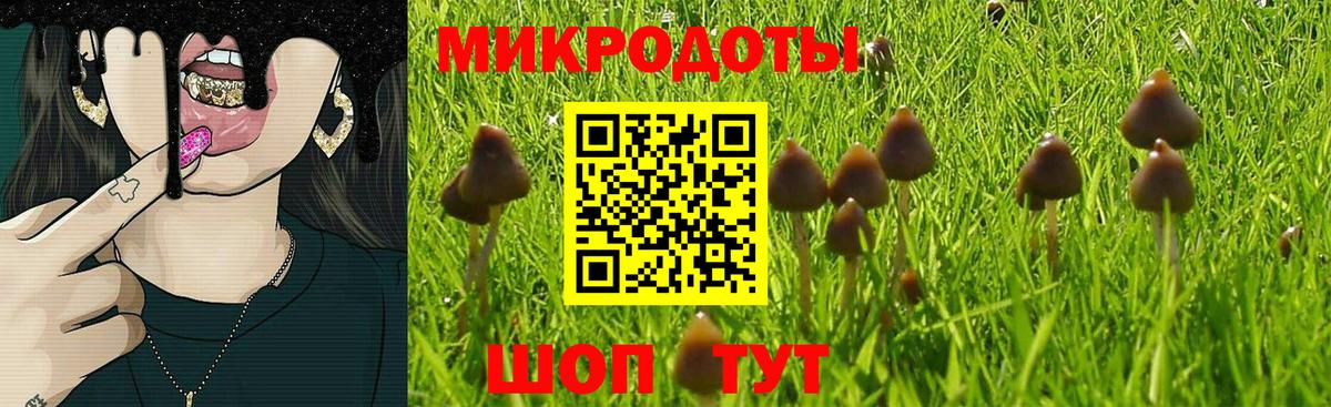 Псилоцибиновые грибы GOLDEN TEACHER Новокуйбышевск